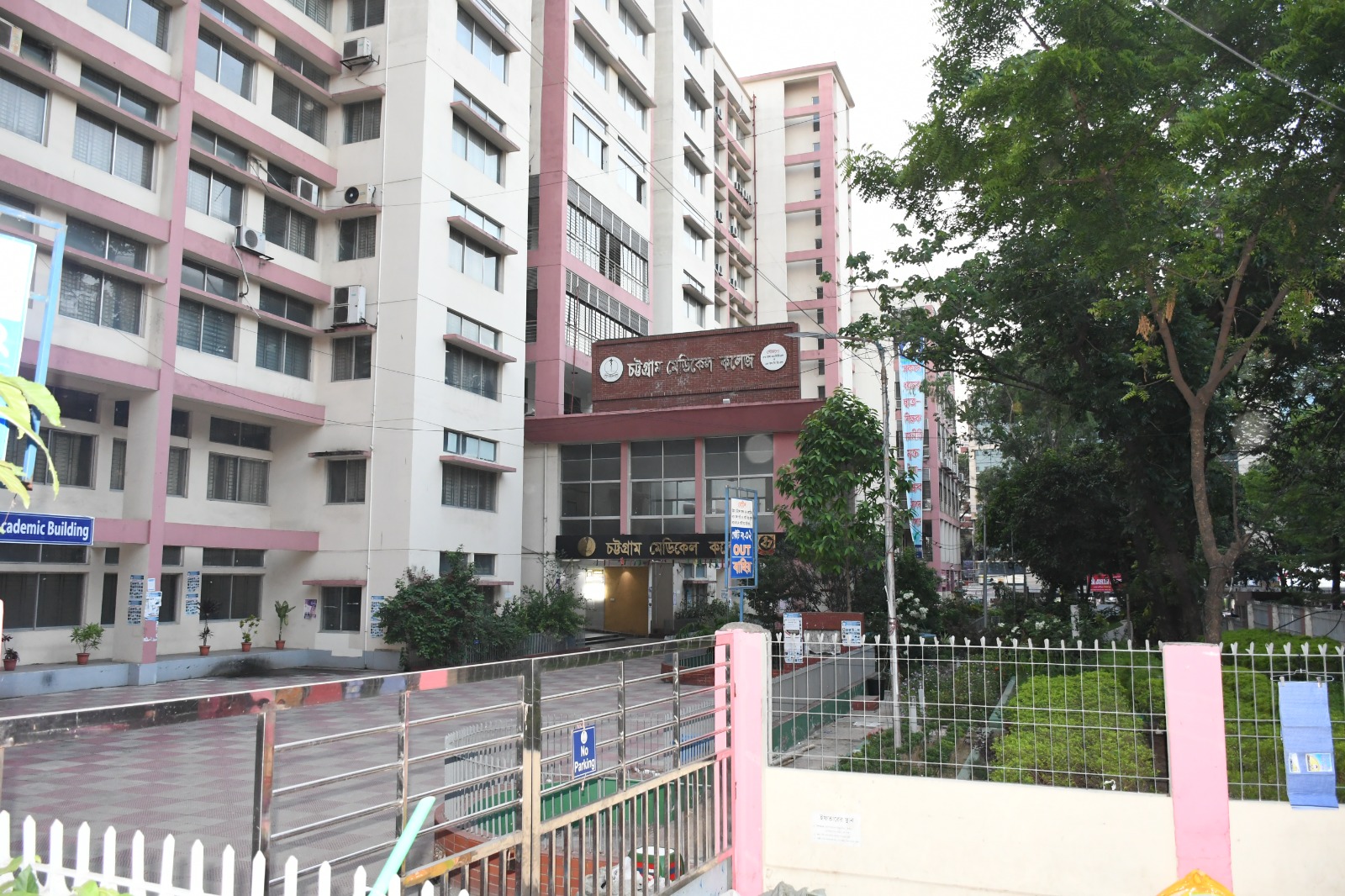 Healthcare Professional 2